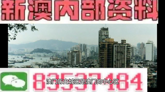 关于新澳门内部一码精准公开网站的探讨与警示