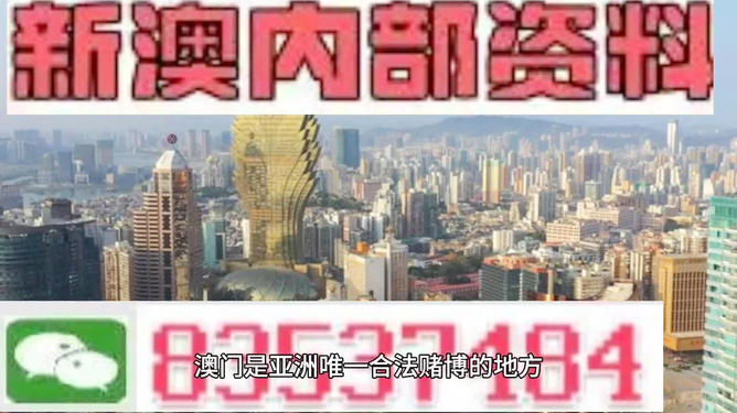 澳门免费资料与内部资料的深度解析