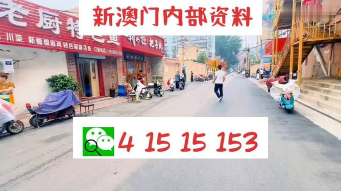 新澳门天天开好彩大全，释义解释与落实行动的重要性
