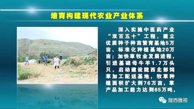 新奥历史开奖记录，解读与落实策略展望