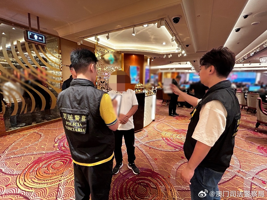澳门正版资料全年免费看，形象释义与行动落实的重要性