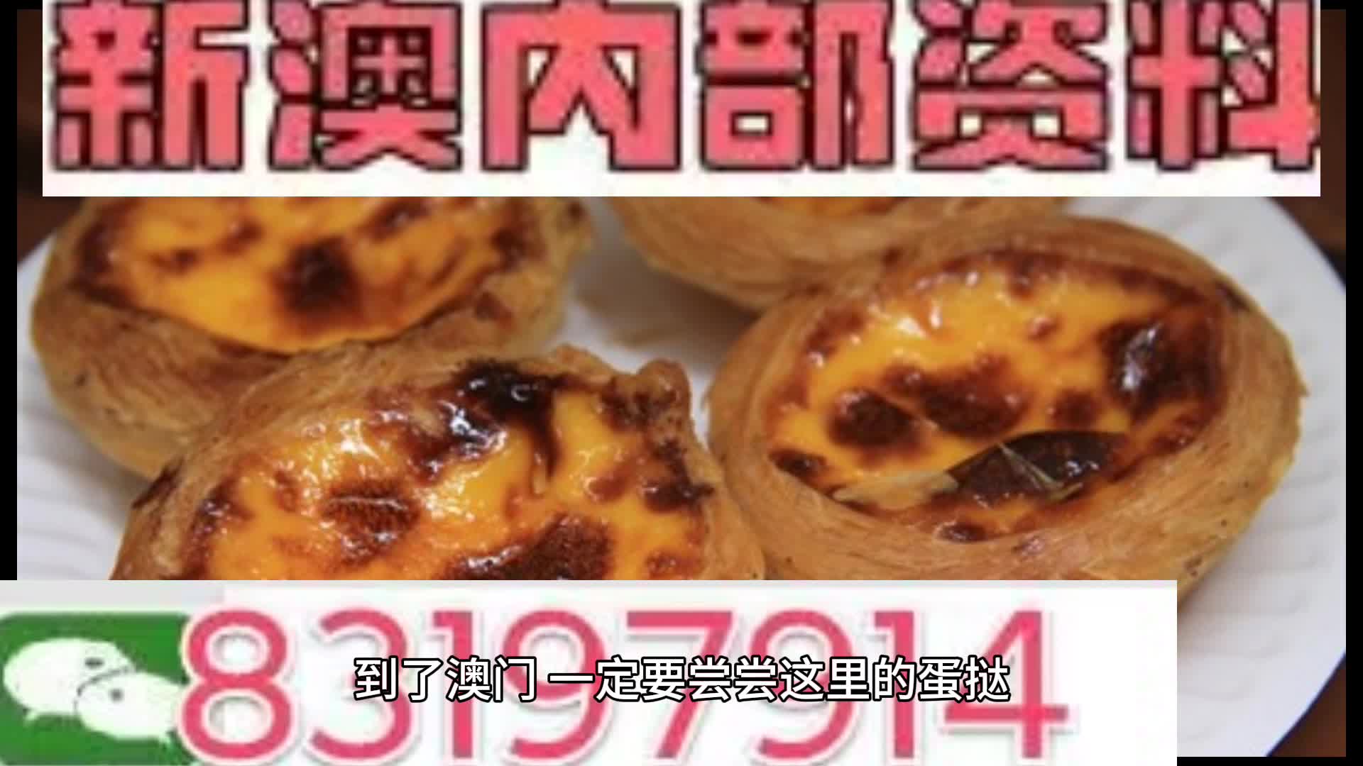 新澳门资料大全正版资料与包容释义解释落实的探讨