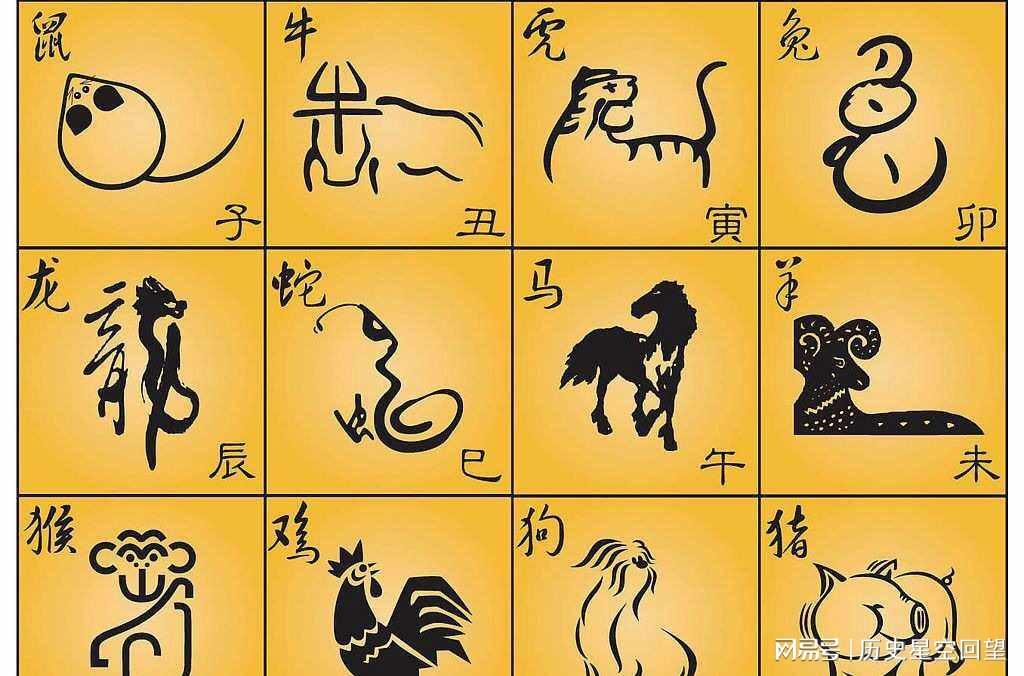精准一肖一码，探寻预测生肖之神秘技艺与夜寐释义的解读