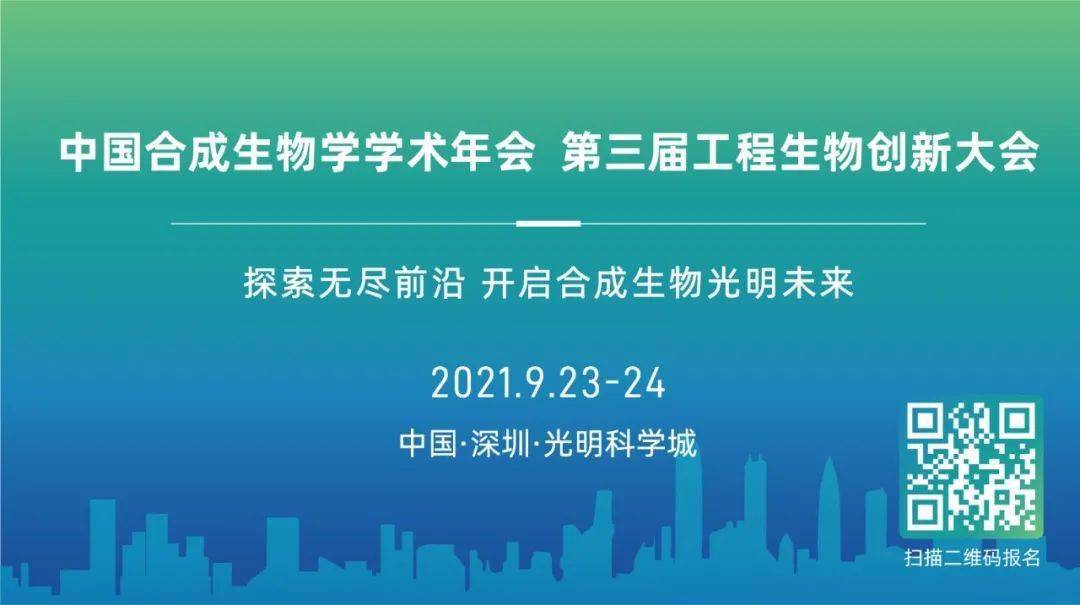 探索澳门未来蓝图，新澳门正版资料的驱动释义与落实策略