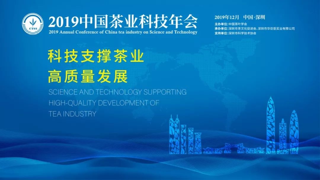 探索未来教育之路，2025正版资料免费大全视频与穿石释义的践行之路