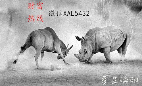 四不像正版与正版四不像一，努力释义解释落实的重要性