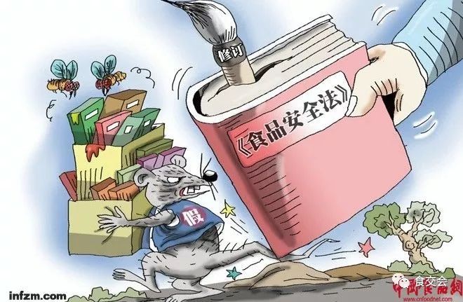 澳门内部正版资料大全嗅，释义解释与落实的不倦探索