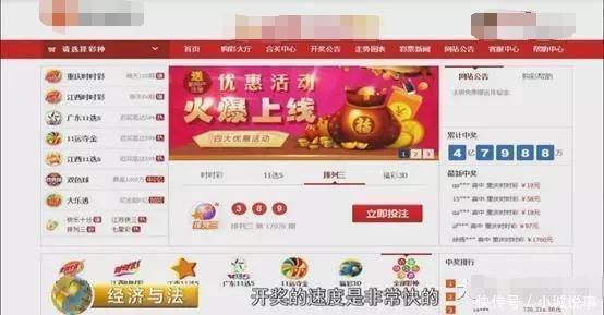 揭秘彩票背后的秘密，王中王开奖与记录网一的故事