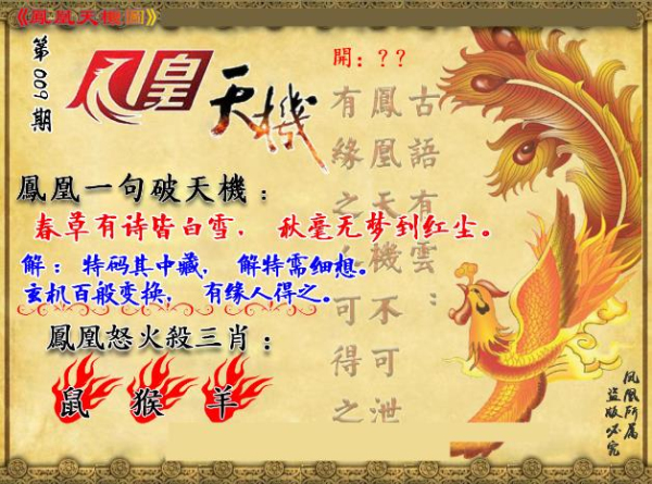 澳门六开彩免费精准大全与凤翼释义的深入探索
