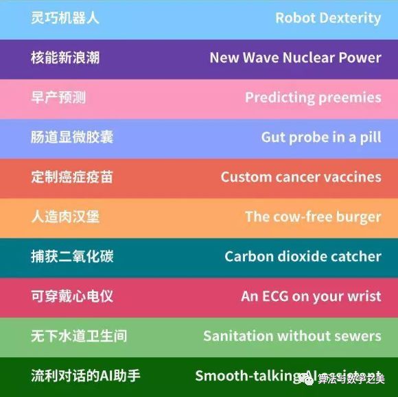 一码一肖，精准预测的深度解读与评论