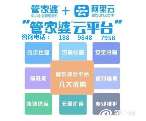 管家婆的资料一肖中特，深度解析与实际应用优化