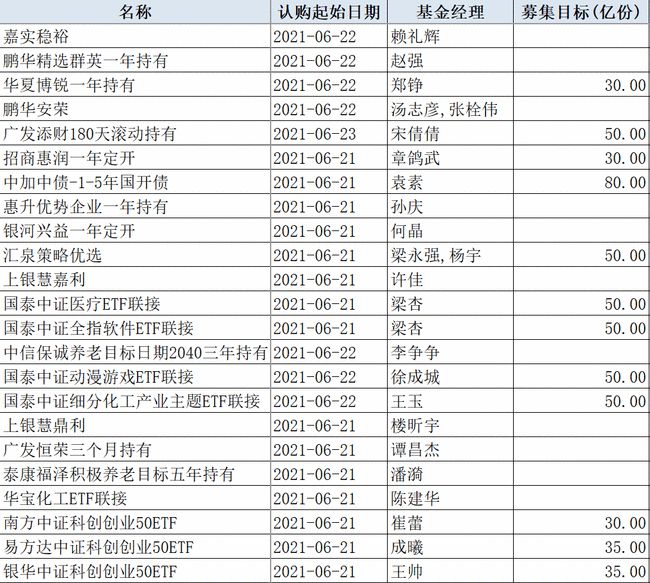 新澳全年资料免费公开，强大释义与切实落实的探讨