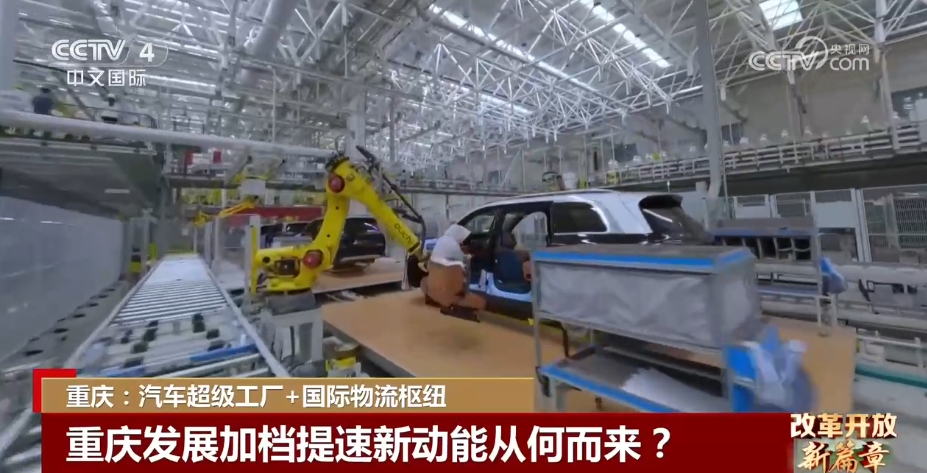 探索香港正版资料的世界与人性释义的落实——以2025年为视角