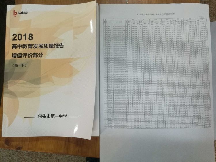 澳门今晚开奖结果4949与绿色释义的深入解读与落实