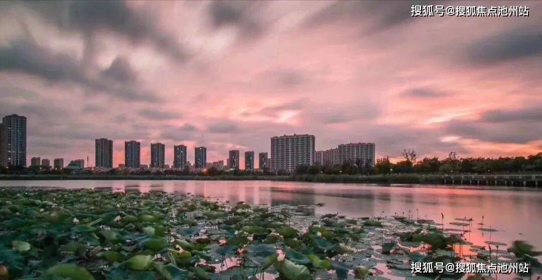 关于澳门资料免费大全的详细解答与解释落实的文章