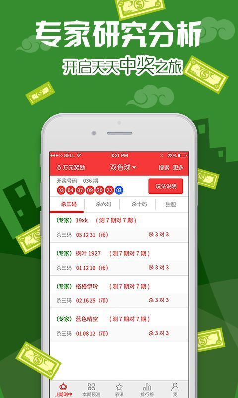 王中王精准资料期期中，澳门高手的精准解答与落实策略