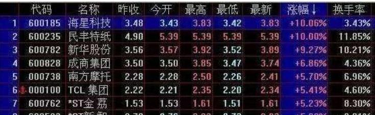 一肖一码中持的奥秘，详细解答、解释与落实