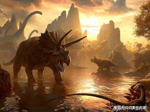 关于三肖三码最准的资料的科学解答与解释