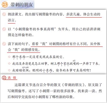澳彩三肖三码三期必开码，科学解答、解释与落实