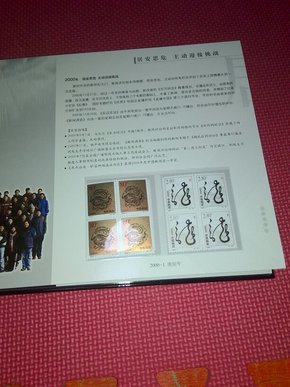 澳门今晚必开的生肖，实用释义与落实解析