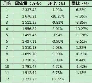 一码一肖，揭秘背后的统计解答与资料落实