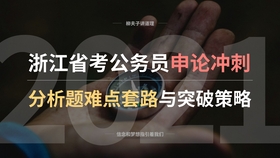 新澳2025天天正版资料大全，实时解答解释与落实的策略分析