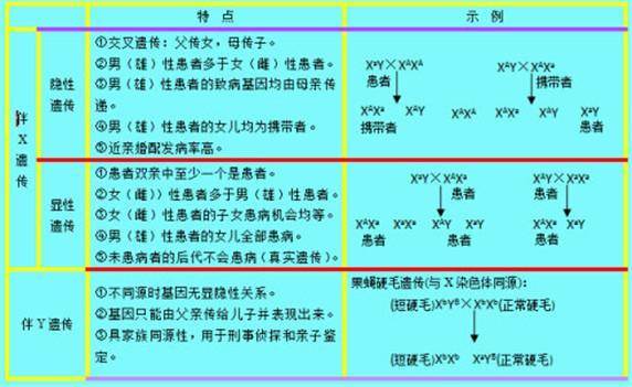 新闻资讯 第101页