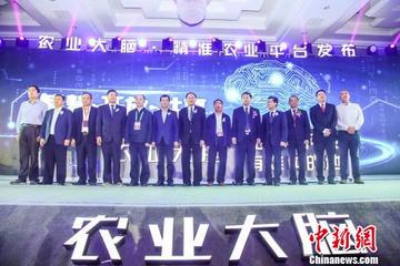 澳门精准三肖三码资料与方案校验优化——图像处理版探讨