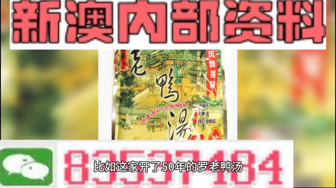 关于新澳免费资料内部玄机与新奥长期免费资料大全的探索