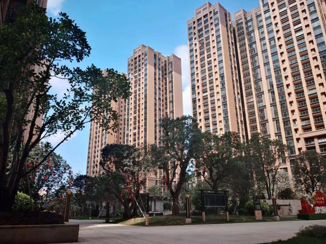 澳门管家婆前沿解答解释落实——探索100中的奥秘与实际操作指南