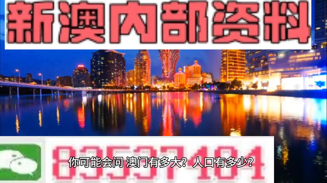 关于新澳精准资料网站实时解答与落实的探讨
