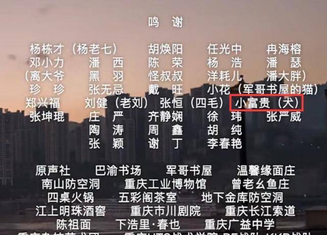 揭秘最准一码一肖，老钱庄的精准预测与实证解答