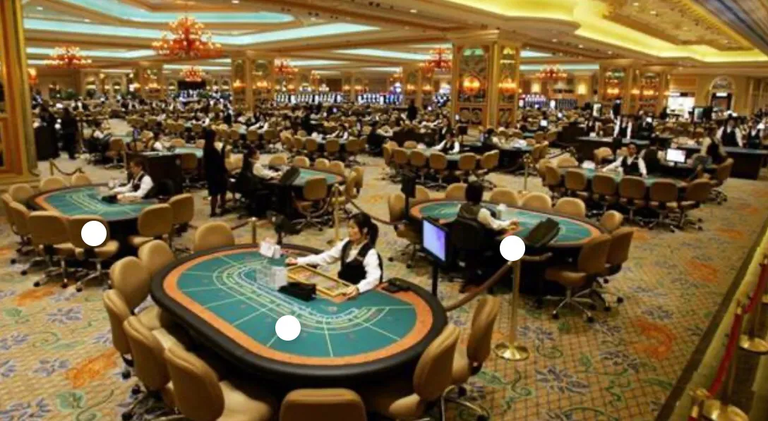 澳门王中王六码新澳门与专家解答解释落实——深入解读背后的真相与风险