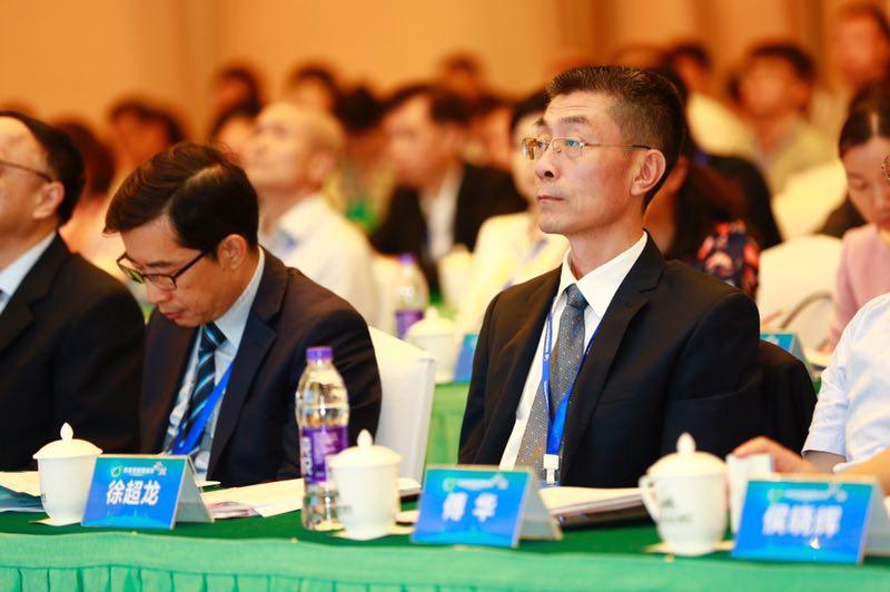 新澳门2025年正版免费公开，前沿解答解释与落实策略