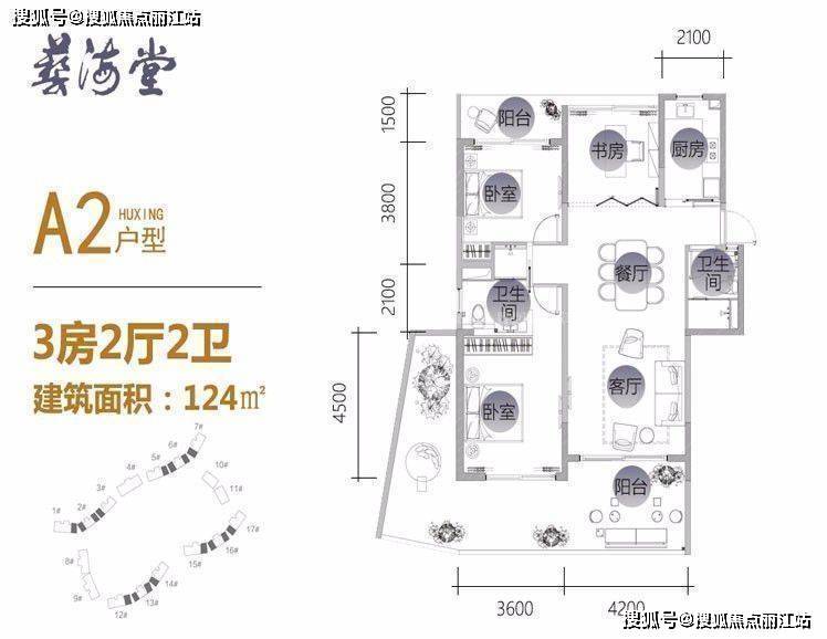 澳门王中王资料论坛，深入解析与定量解答