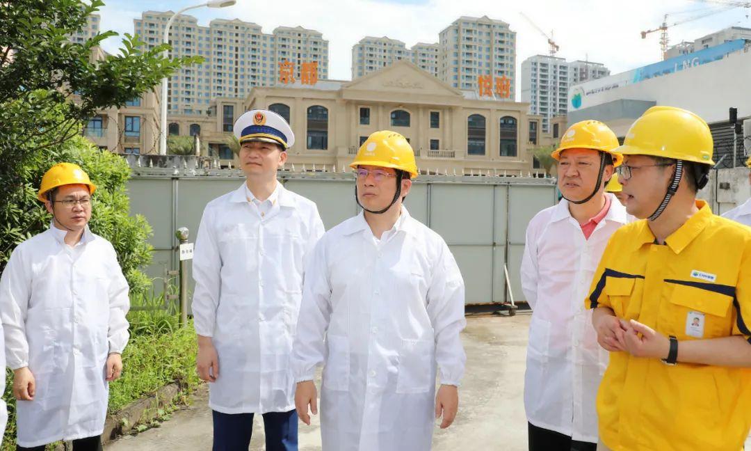 新奥最精准免费大全，最新精选解析、细致解释与有效落实