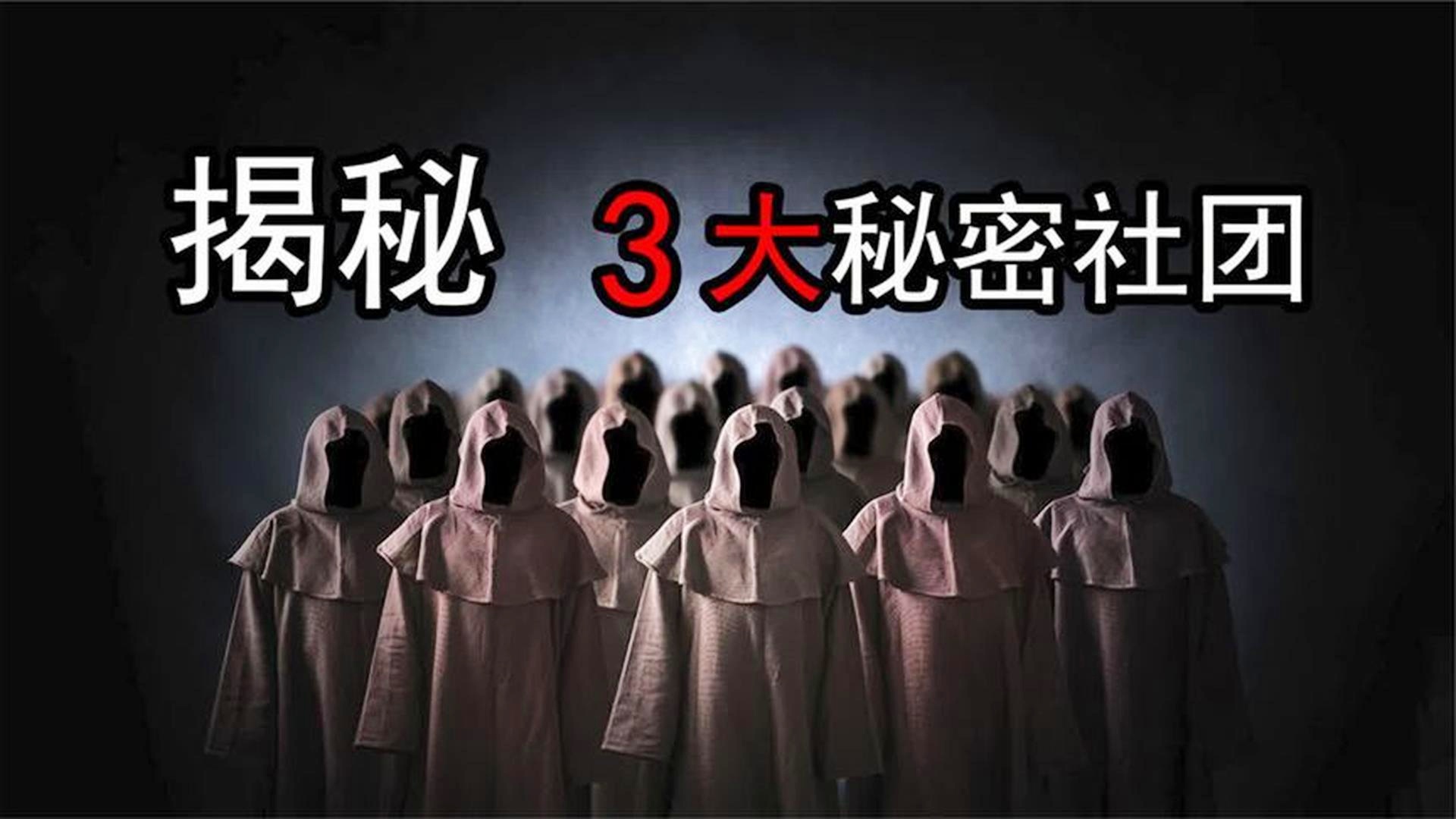一码一肖，揭秘中奖秘密，解答解释落实的真相