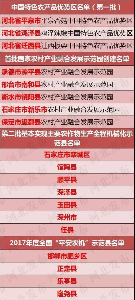 新澳门2025年正版免费公开，前沿解答解释落实的探索之旅