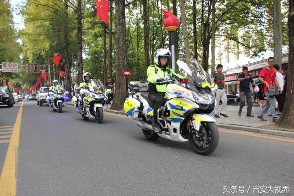一码一肖，资料统计解答与落实的重要性