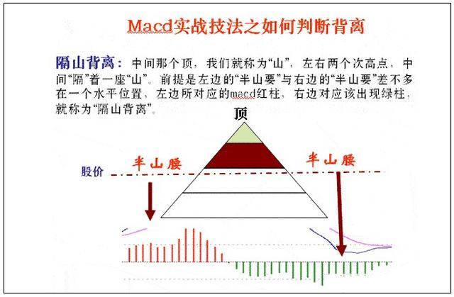 揭秘百分百准确一肖一，科学解答与真实解读