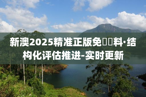 新澳2025精准正版免费资料与解答解释落实