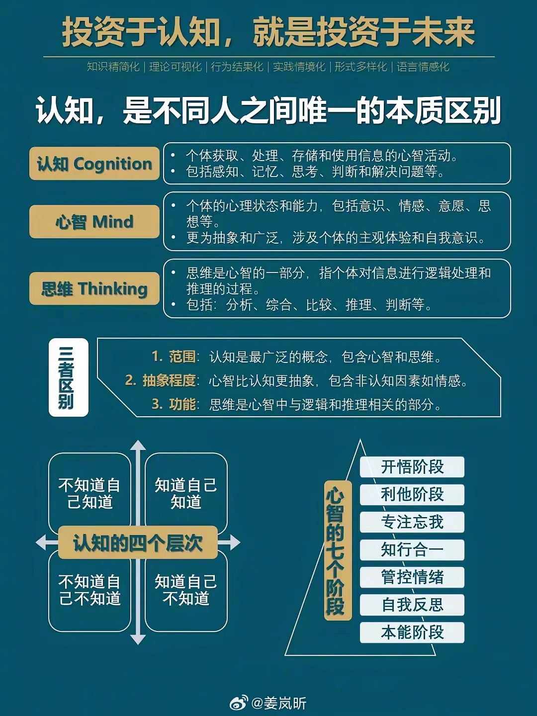 一码中持一一肖一子精选解析，落实策略与实践洞察