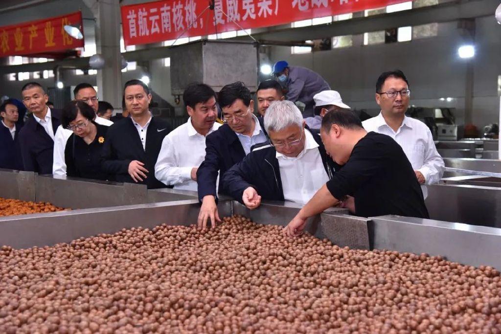 迈向精准未来，2025精准资料免费大全实地计划验证数据解析