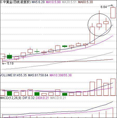 王中王三肖三码三期内必中，精准解答、解释与落实
