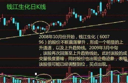 一码一肖，深度解读精准预测的秘密