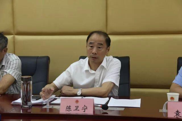 王依凡 第65页