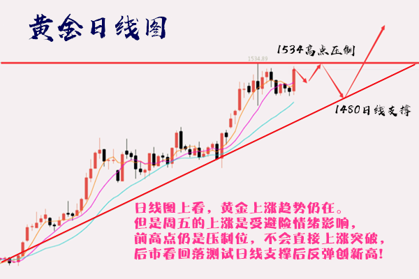澳门正版资料统计解答解释与落实策略，迈向2025的洞察与前瞻