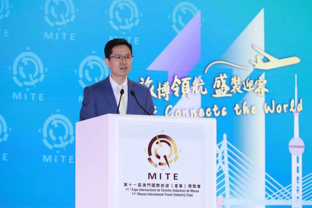 新澳门三期内必中一期，精准解答解释落实的策略与技巧