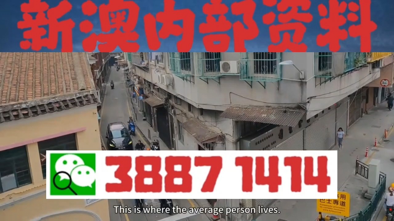 新澳门今晚必开一肖一特，全面解读与解释落实方案