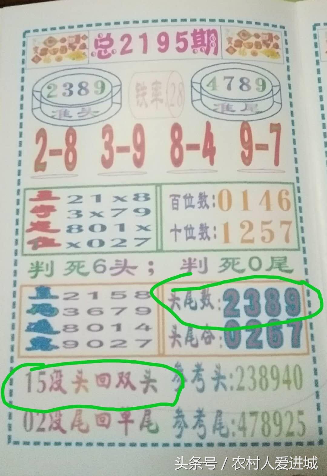 新澳门三期内必开一肖的深度解答与解释